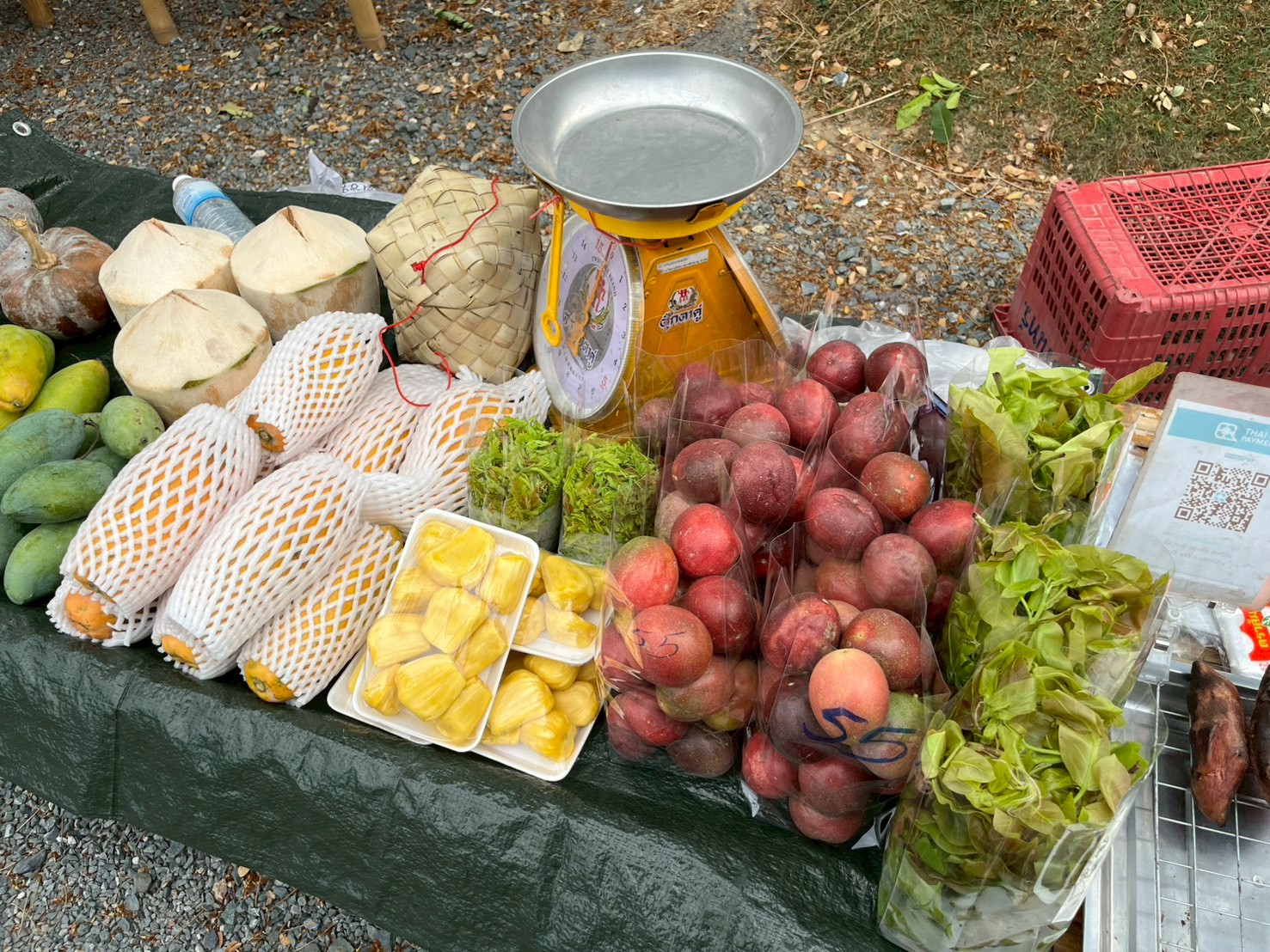 catalogs_file_1227_12_37_300338.webp