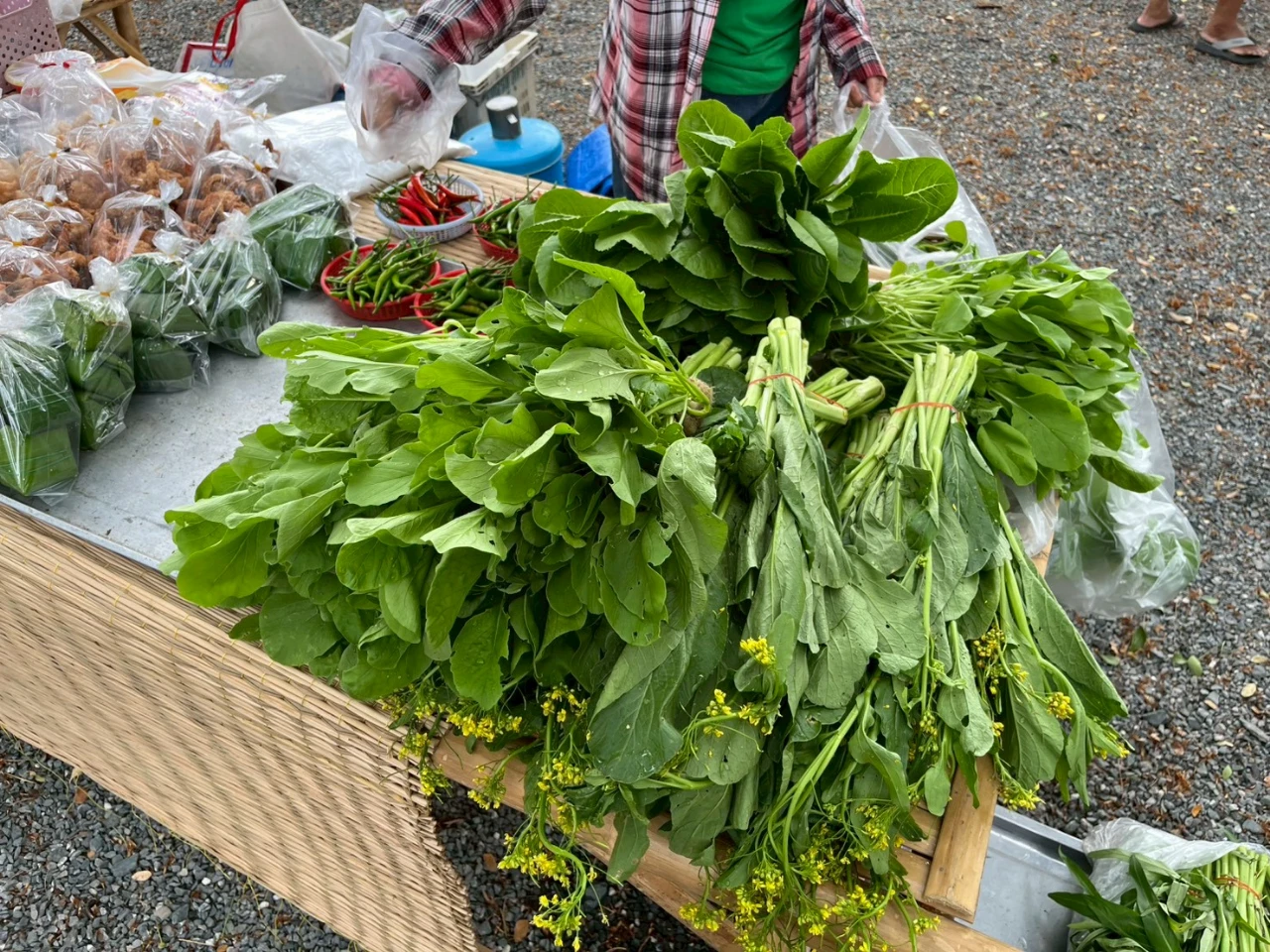 catalogs_file_1227_12_37_305955.webp